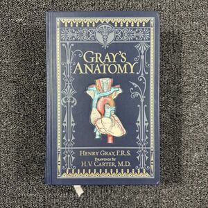 Gray's Anatomy Henry Gray Barnes & Noble Leatherbound Classic Edition 2010 Blue